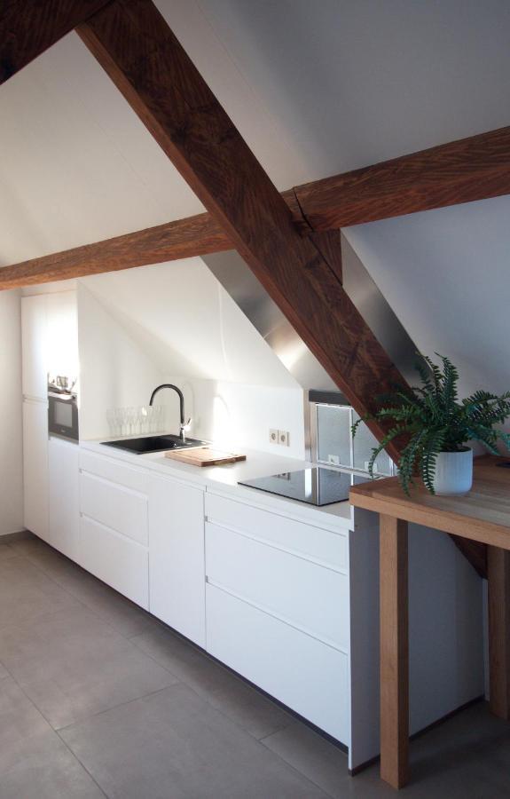 Kampenhout De Heide, Cozy Apartment With Separate Entrance מראה חיצוני תמונה
