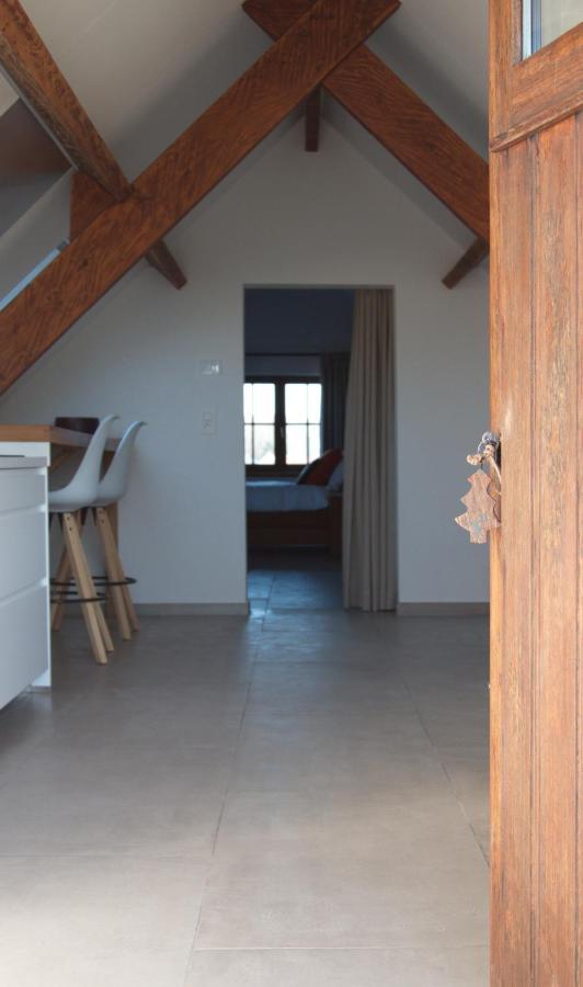 Kampenhout De Heide, Cozy Apartment With Separate Entrance מראה חיצוני תמונה